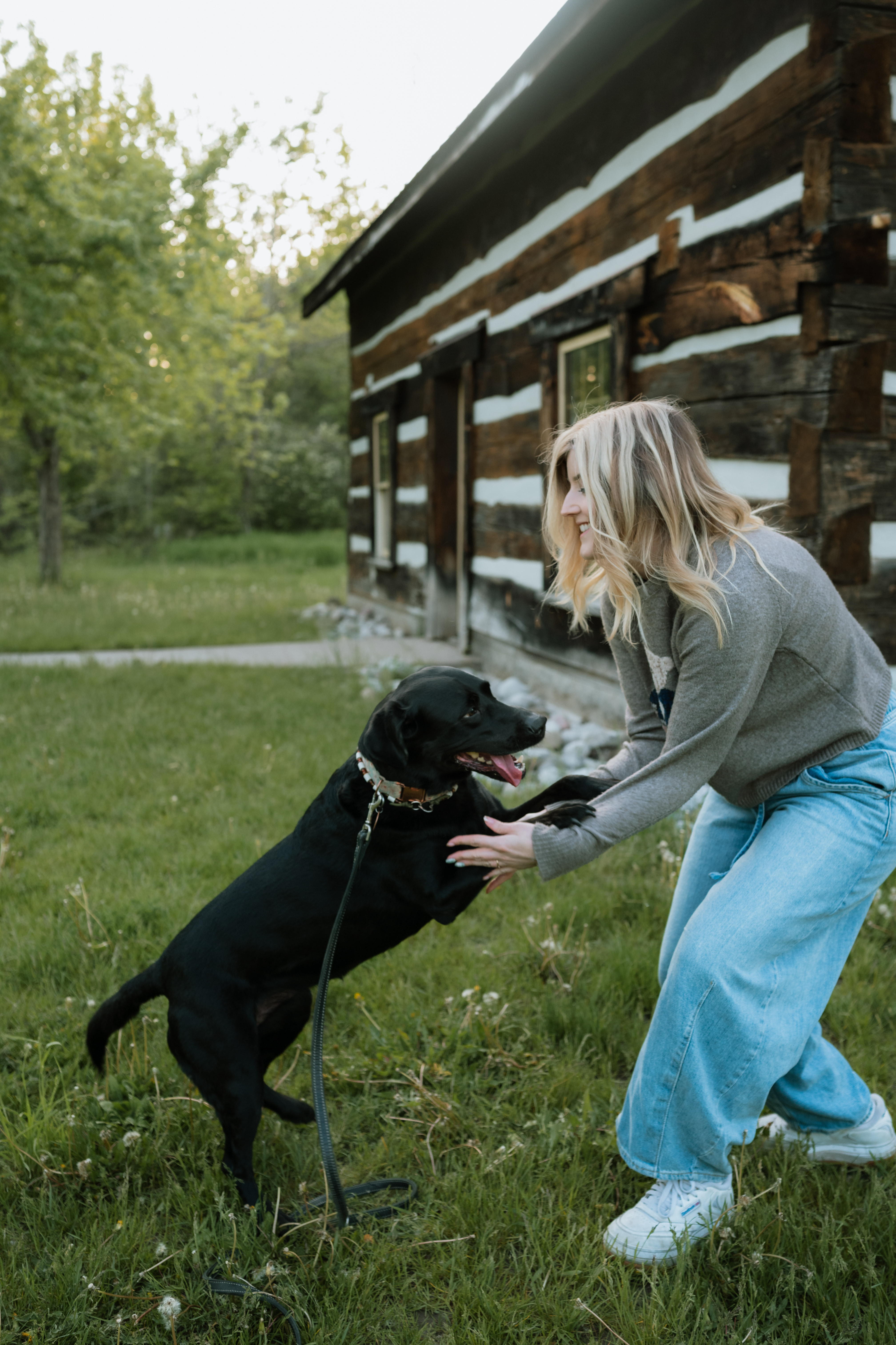 Service Dog Team Coaching